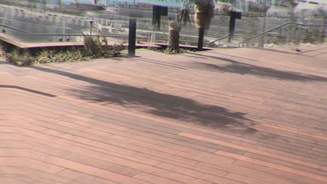 Blue Water Bridge | Lignum Wood Floors смотреть онлайн