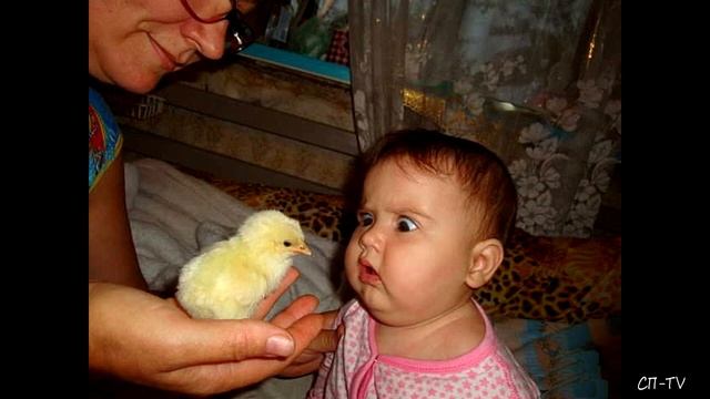 Мир чувств и эмоций в картинках смотреть онлайн