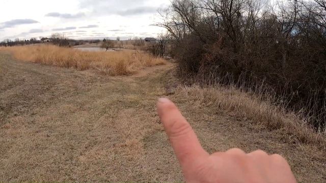 ADC JOB TRAPPING NEST RAIDERS : Talking Expectations On Pull Day | W/Bobcat Catch & Release|S4 Ep 2 смотреть онлайн