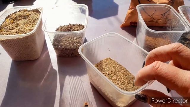 ✔Чтобы куры хорошо неслись круглый год!//Чем я кормлю кур для отличной яйценоскости?/Добавки для ку смотреть онлайн