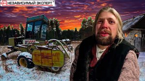 У собачихи в гостях!