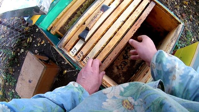 Формировка роя в зиму смотреть онлайн