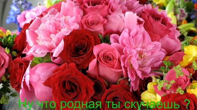 привет родная автор Н Н КАЛАШНИКОВ смотреть онлайн