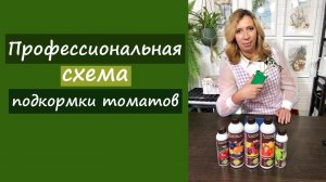 Профессиональная схема подкормки томатов. Огромный урожай- это РЕАЛЬНО