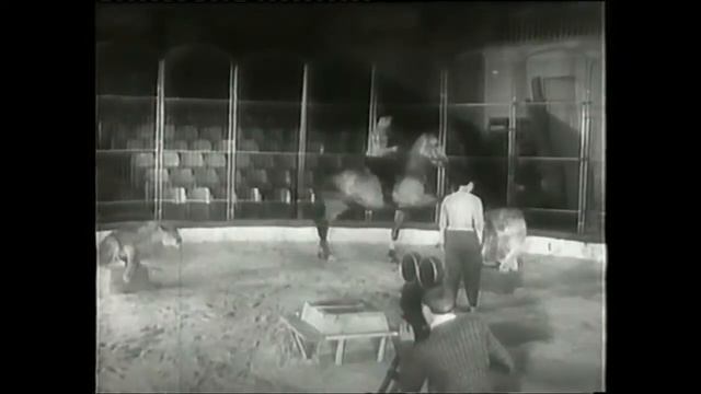 Валентина, Виктор и Борис Эдер Иванова 1959. Valentine, Victor Ivanov and Boris Eder 1959 смотреть онлайн