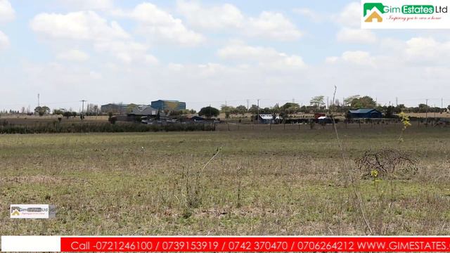 ACACIA PHASE II KITENGELA IS HERE FOR YOU ONLY FOR 1.2M PAYABLE IN 12 MONTHS//DEPOSIT120K смотреть онлайн