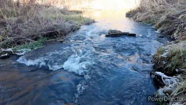 Журчание воды(ASMR звук воды, речной поток, звуки природы, магия мира) смотреть онлайн