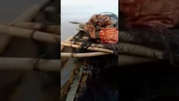 Аэродвижитель Gordey-Motors 15 л.с.