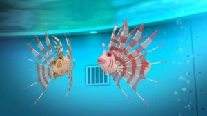 02.17 - Октонавты и Крылатки Зебры