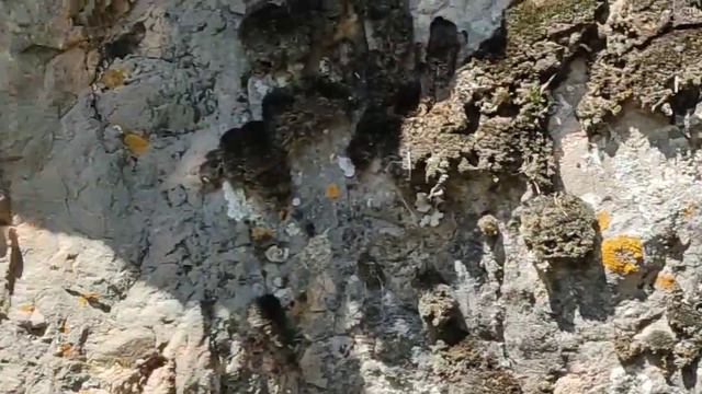 Водопад Кизилсу смотреть онлайн