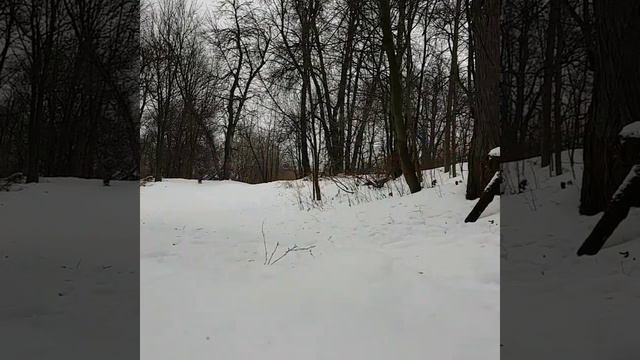 Сноускейт или зима на лонгборде смотреть онлайн