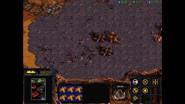Прохождение StarCraft Brood War Часть 21 (Зерги - Миссия 5)