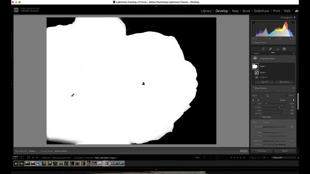 Masking Basics - Lightroom Classic смотреть онлайн