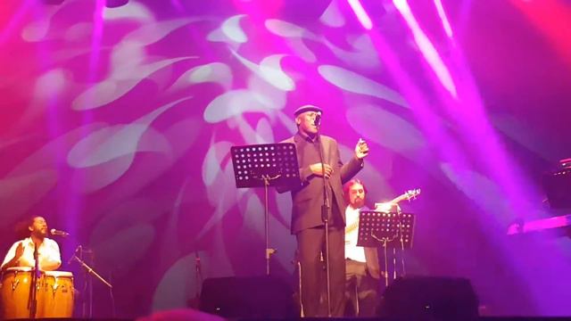 Ibrahim Ferrer ( Buena Vista Social Club) - Nescafé de las artes смотреть онлайн