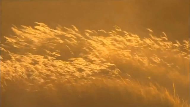 Христианское поклонение. Сборник №119 смотреть онлайн