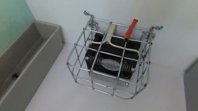 Инкубатор Матрица ДЕЛИ. Новый Блиц.Обзор смотреть онлайн