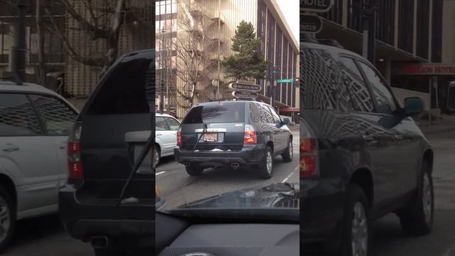 Minivan wagging its tail смотреть онлайн