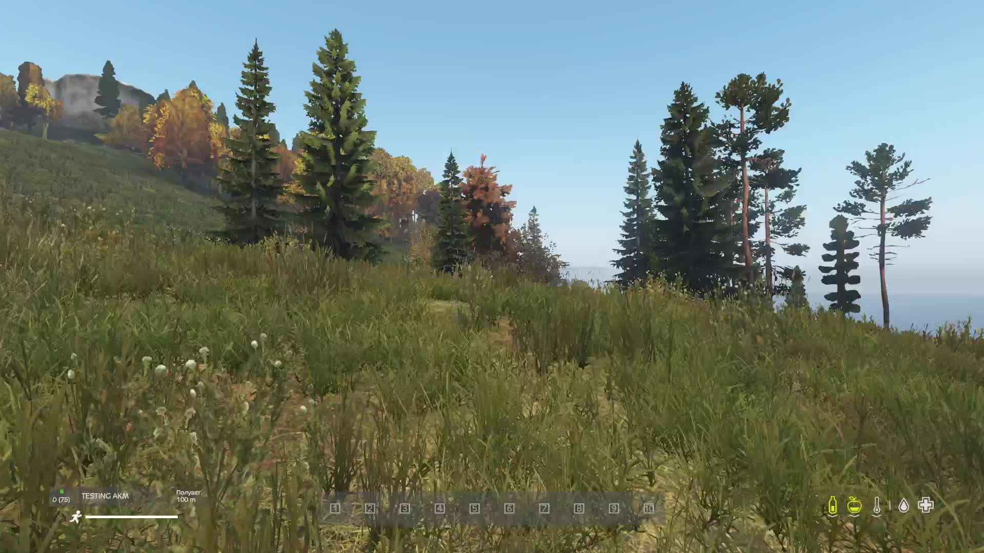 DayZ смотреть онлайн