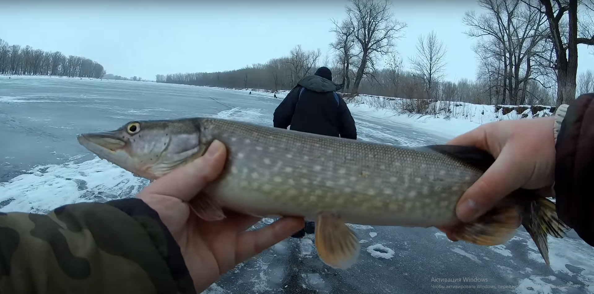 Чуть удочку из рук не выбил ! Эта блесна сделала рыбалку. Зимняя рыбалка смотреть онлайн