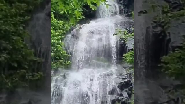 впечатляющий водопад "Тюльпан" в горах Абхазии смотреть онлайн