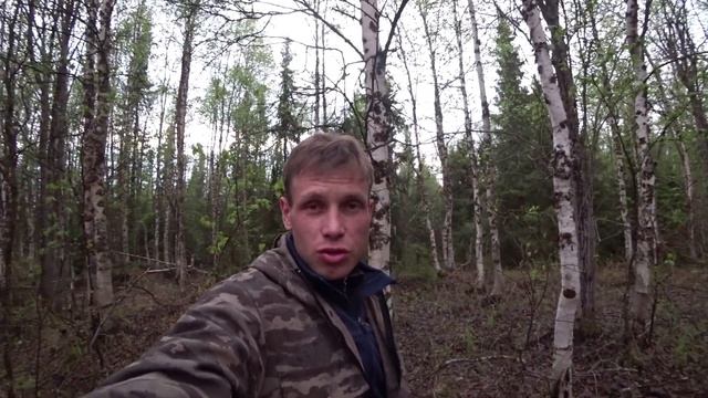 СУПЕР-ТЯГА!!! НЕ ХОТЕЛОСЬ УХОДИТЬ! ВАЛЬДШНЕПЫ УСТРОИЛИ КАРУСЕЛЬ. #охота#вальдшнеп#тяга смотреть онлайн