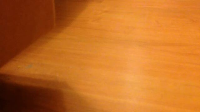 Так выглядит щенок таксы смотреть онлайн