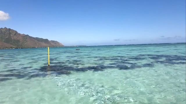 Polynesia by Roger Garth смотреть онлайн