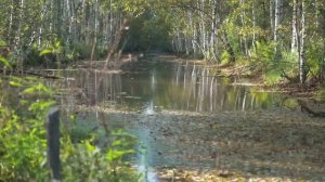 Татарские песни 2023. Ваши любимые исполнители в этом плейлисте №21