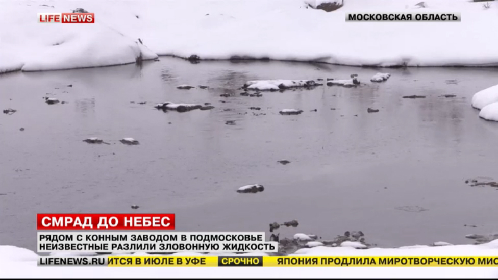 Неизвестные вылили химические отходы смотреть онлайн