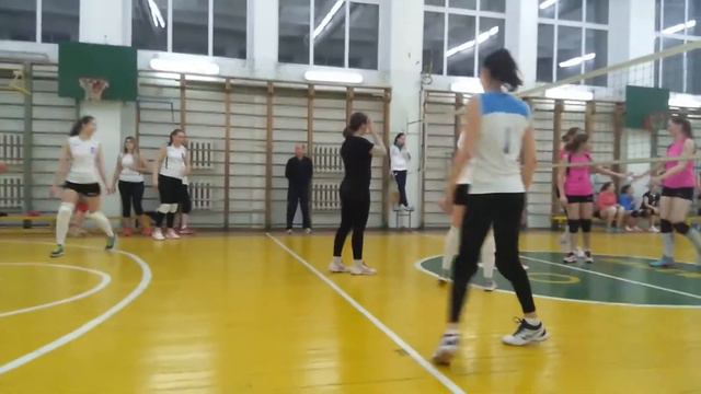 Запись соревнования игры в волейбол среди женщин смотреть онлайн