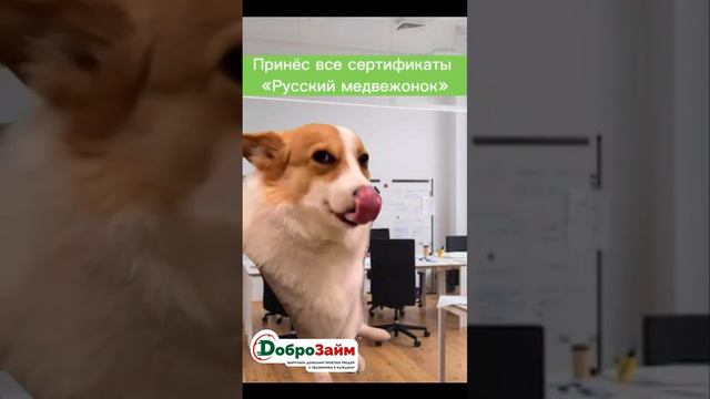 А какой ты кандидат