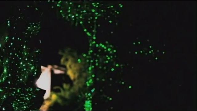 Green Blisslights Spright Firefly Laser Outdoor Projector смотреть онлайн