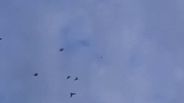 не большая разминка . смотреть онлайн