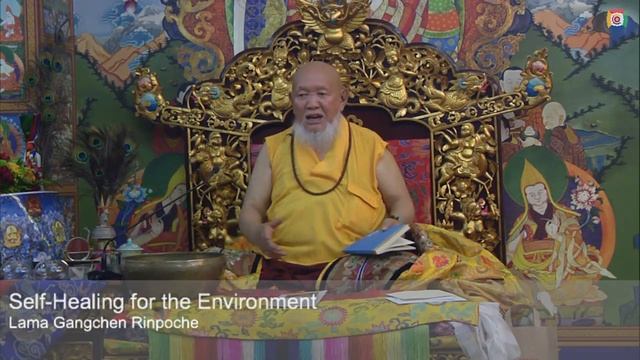 2 - Generate your own environment: NgalSo path to enlightenment with Lama Gangchen Rinpoche смотреть онлайн