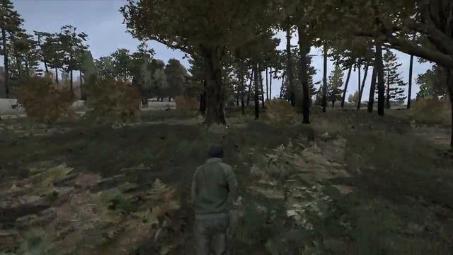 LP Together DayZ Standalone [Deutsch] #09 [Skanon] - Die Zukunft des 3D...und andere Kleinigkeiten смотреть онлайн