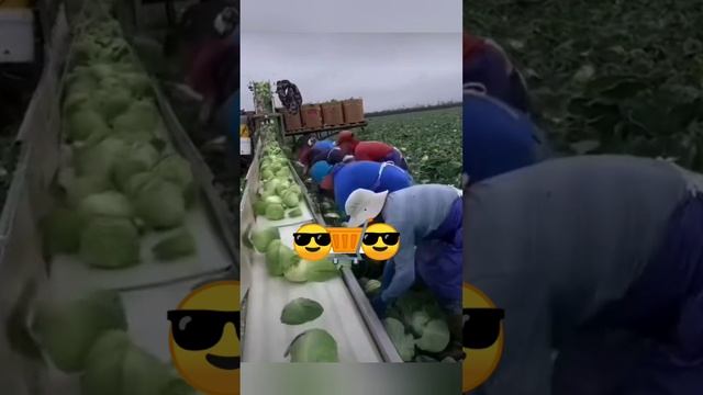 Разве ИИ и нейросети способны на такой увлекательный процесс??? смотреть онлайн