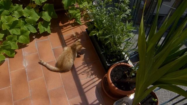 Дикая Природа в 360 Градусов