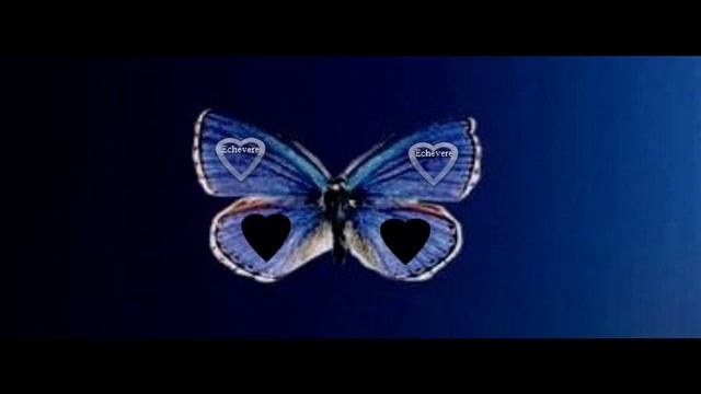 (SIENTE). Techno trance flamenco (Echevere) смотреть онлайн