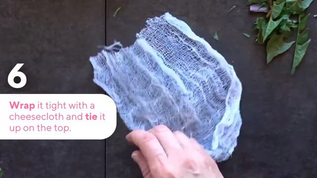 How to Make Flowering Tea Balls at Home with Teabloom (2022) смотреть онлайн
