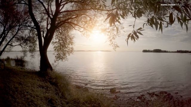 Deepening Consciousness | Lucid Dreaming Music | Sleep Music | Meditation Music | Relaxation Music смотреть онлайн