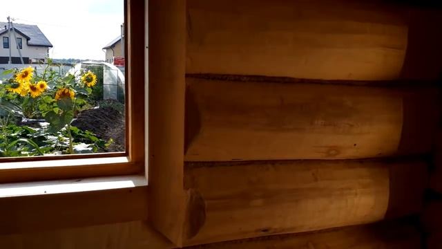 БАНЯ 3 на 4 - МИНИМАЛЬНЫЙ размер из ОСИНЫ. ТЁПЛЫЙ Предбанник! смотреть онлайн