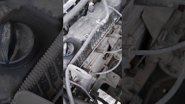 Газель Некст пробег 174 тыс километров смотреть онлайн