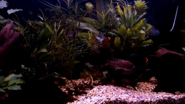 Настройки диммирования led светильника смотреть онлайн