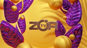 ЗОР ТВ ПРОМО-2021