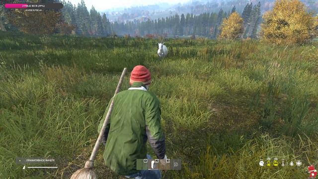 DAYZ PREDATORS смотреть онлайн