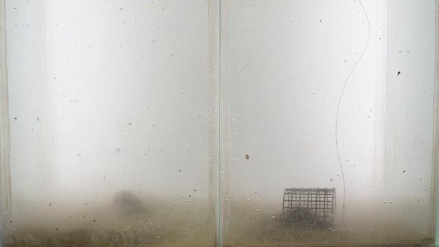 Dunaev Премиум Лещ + Плотва