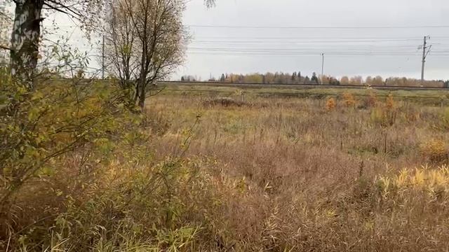 Видео 1075 смотреть онлайн