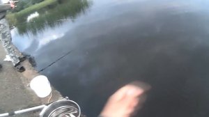 Ловля рыбы на кивковую удочку летом
