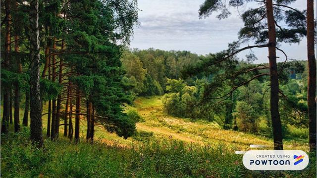 Янка Маўр "Шчасце" смотреть онлайн