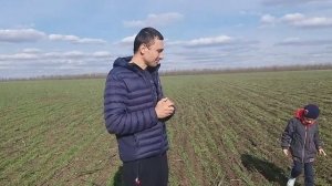 селитра сравниваем рум и сеялка